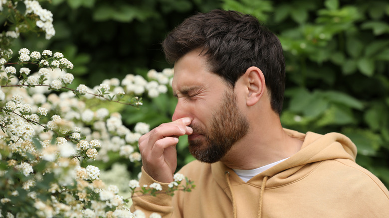 Man outdoors in yard wincing while holding nose and shutting eyes