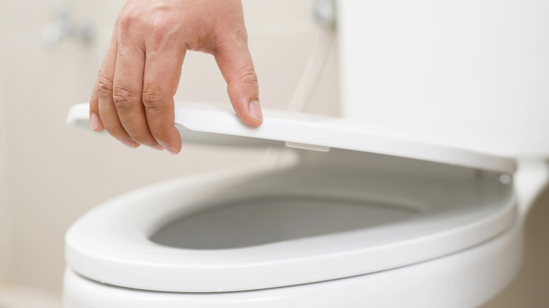 Close-up of hand holding up  toilet seat