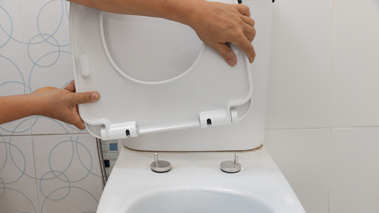 Person replacing a toilet seat