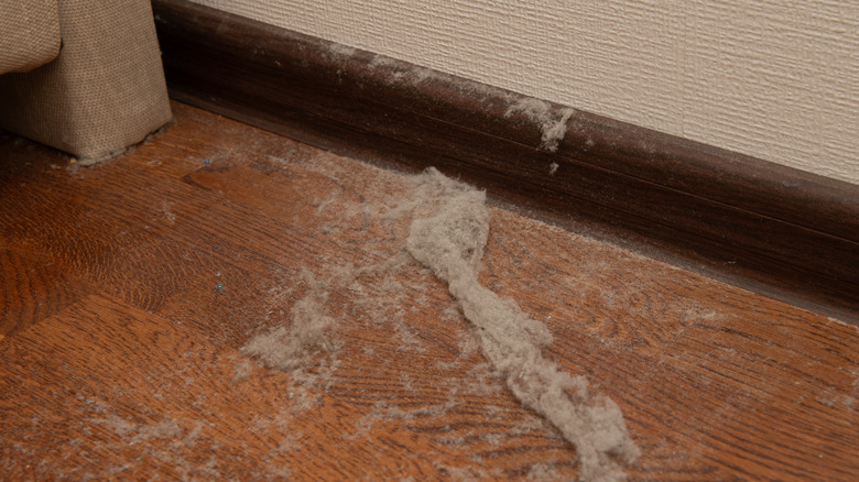 A large collection of dust on a home's baseboards and floor