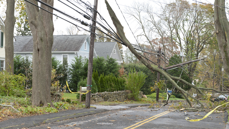 storm breaking power lines
