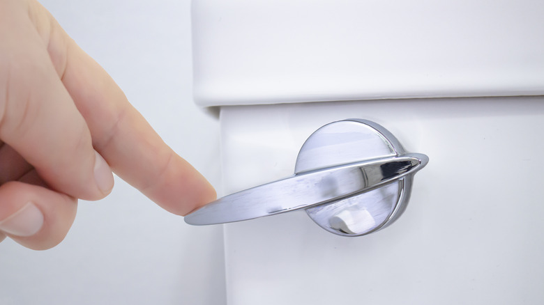 person flushing a toilet