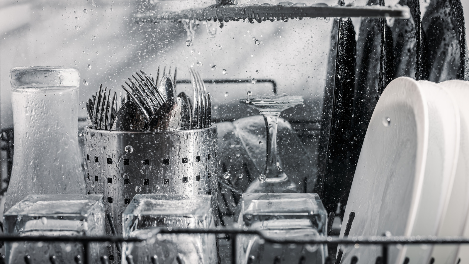 Here's How Hot Your Dishwasher Really Gets When It's Running House