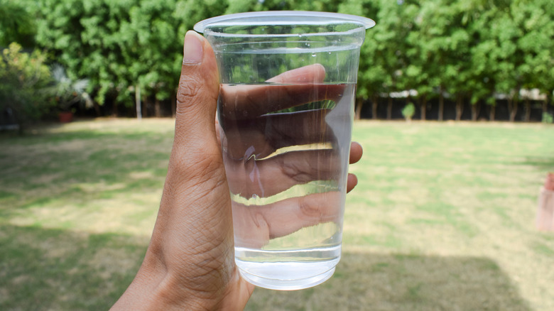 A hand holding a glass of water with a brownish lawn in the background