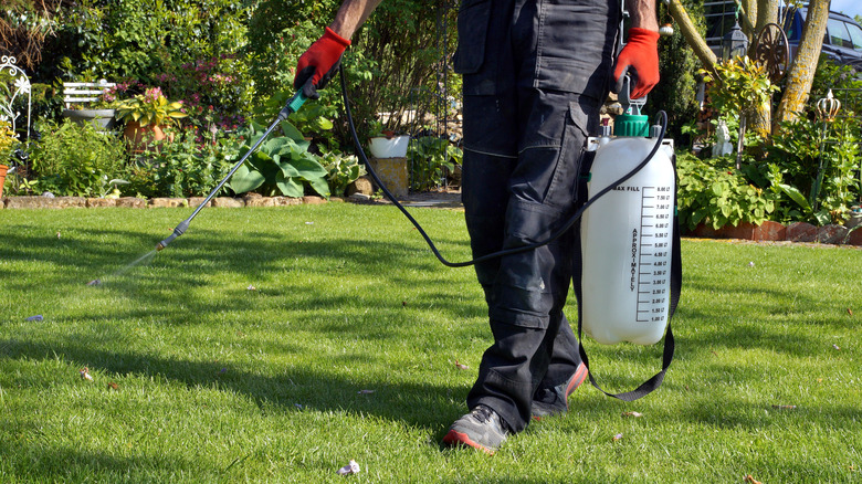 person spraying herbicide