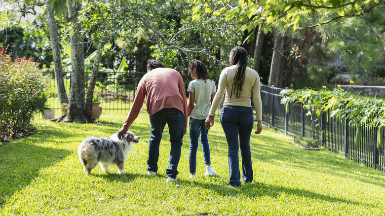 family with dog in yard