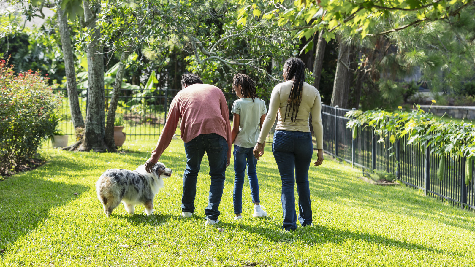 here-s-how-long-you-should-keep-kids-and-pets-off-the-lawn-after