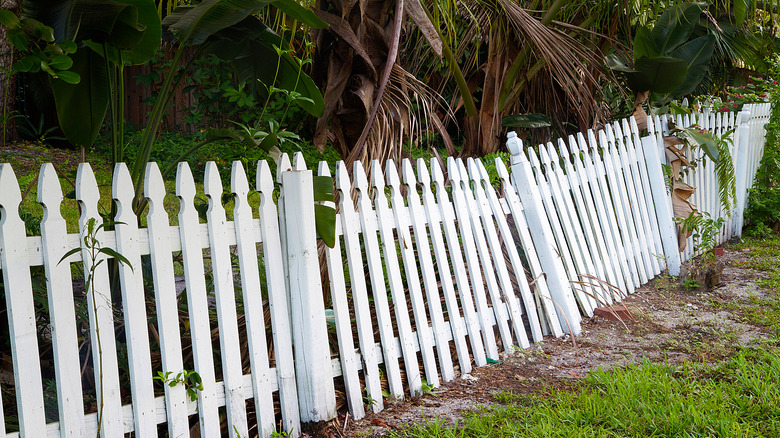 leaning picket fence
