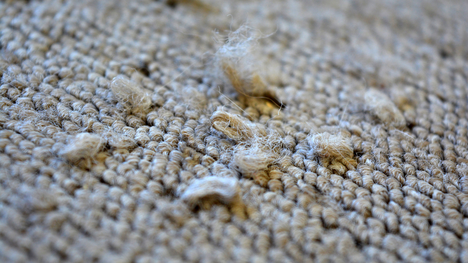 Here’s How Much It Costs To Repair Worn Carpet – House Digest