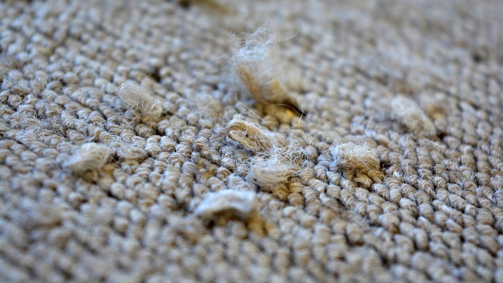Here's How Much It Costs To Repair Worn Carpet