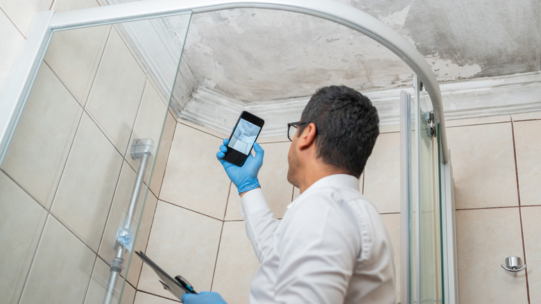 Man inspecting mold growth in shower