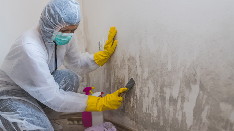 Woman performing mold remediation