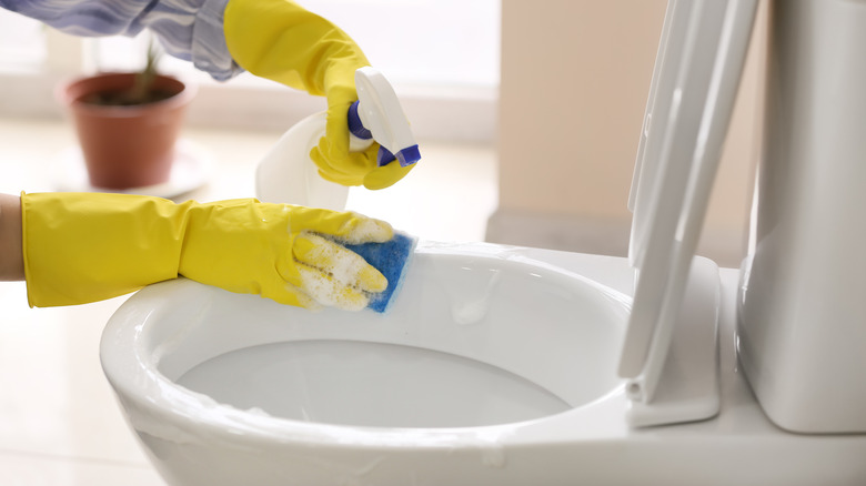 Person cleaning a toilet 