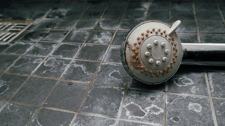 Hard water limescale covers a hand-held shower head and tile floor