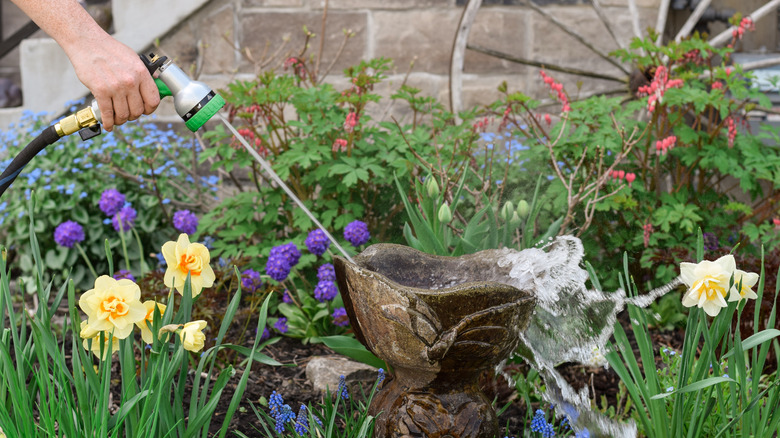 person cleaning birdbath with hose