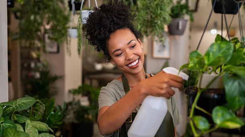 woman watering plant