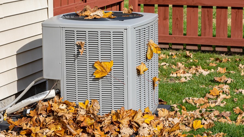 Leaves on A/C coils