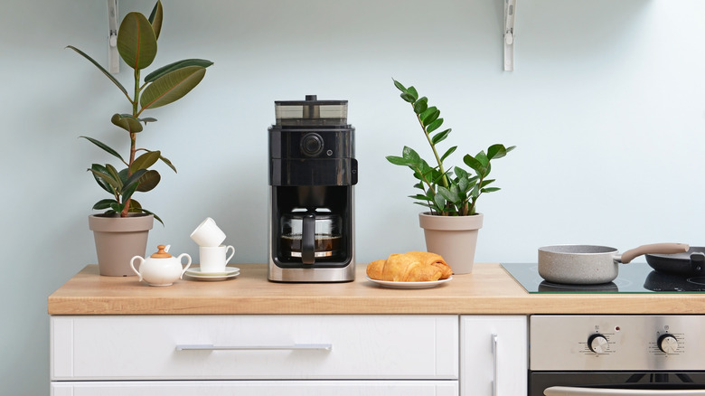 black carafe coffee maker 