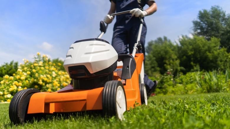 person mowing grass