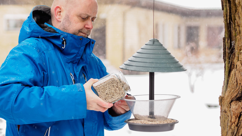 Person filling bird feeder 
