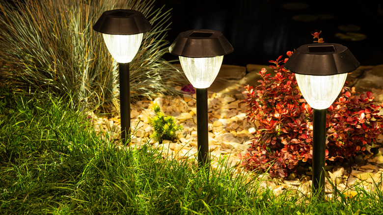 Outdoor solar powered light in garden