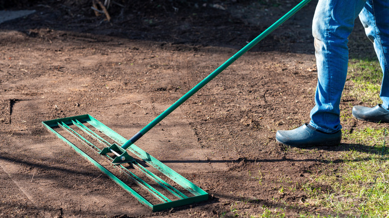 Man using a leveling rake to level the lawn
