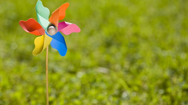 Here's How To Deter Squirrels From Your Garden With A Pinwheel