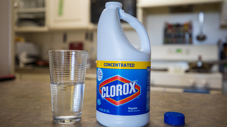 Clorox bottle on kitchen counter