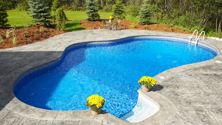 small, curved pool in backyard