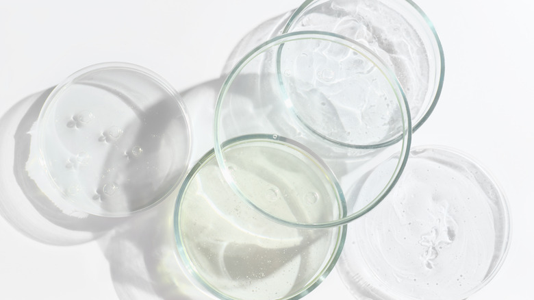 Petri dishes