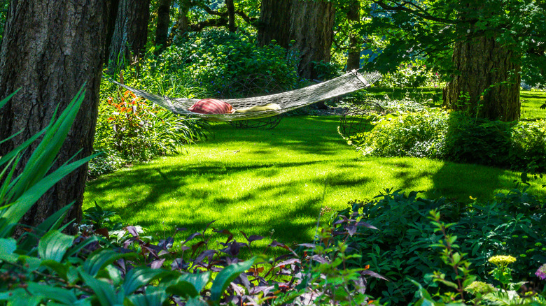 Hammock hanging from trees in a shady garden setting