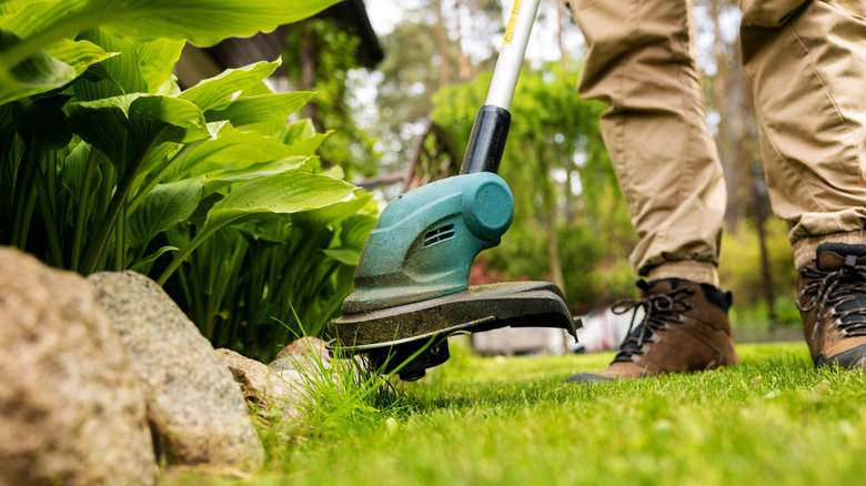 Man using a string trimmer to cut down grass