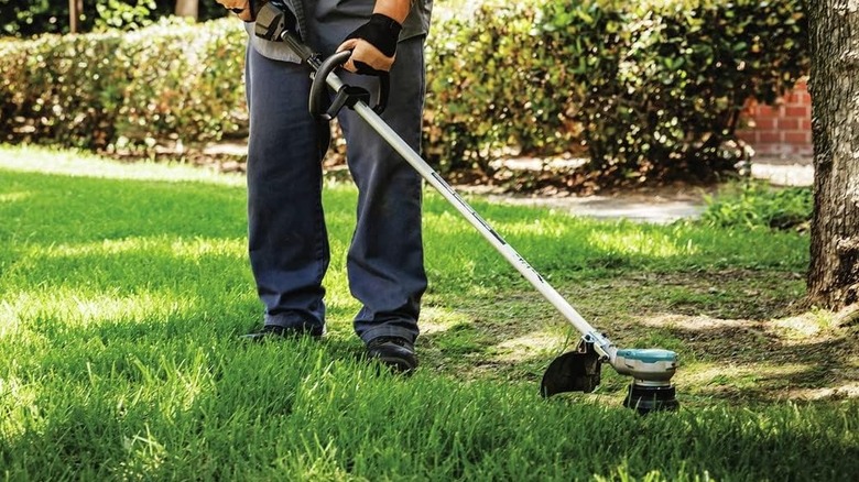 Man using Makita XRU15PT string trimmer