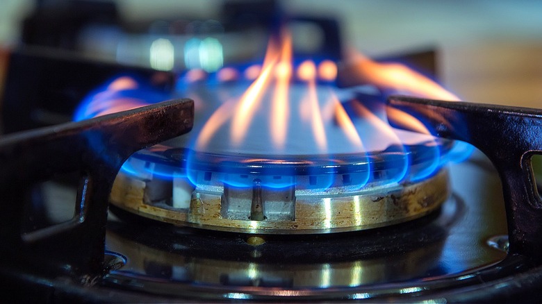 An ordinary, healthy blue flame on a gas stove burner