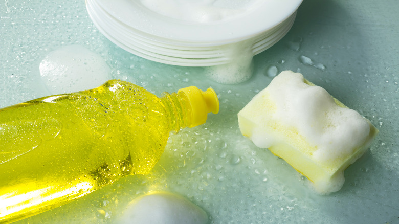 Dish soap and sponge