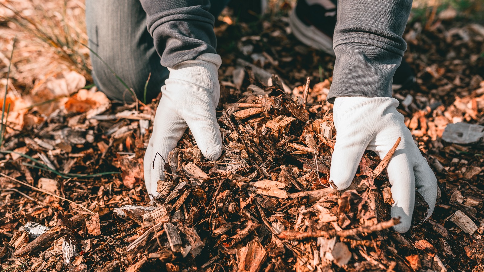 Here's What You Can Substitute For Mulch