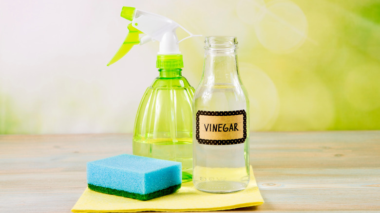 homemade cleaning solution with vinegar