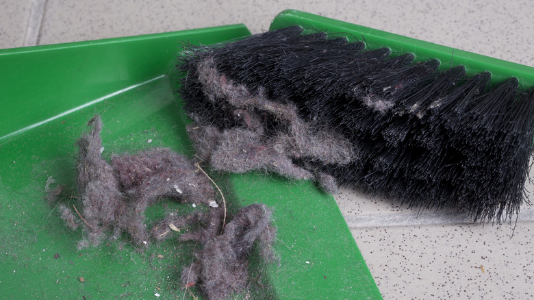 Dust in dustpan and broom