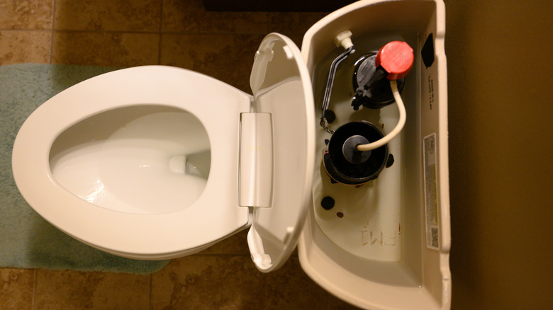 Inside toilet tank