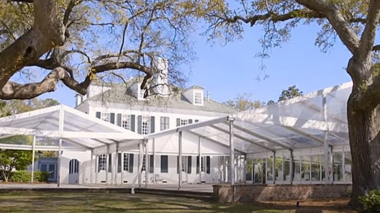 Backyard of Lowndes Grove 