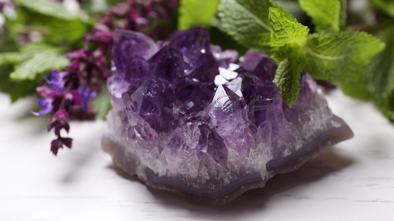 Amethyst rock cluster and leaves