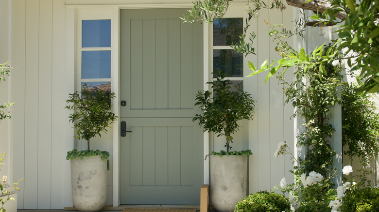 A green Dutch door is flanked by two tall ceramic planters with small trees