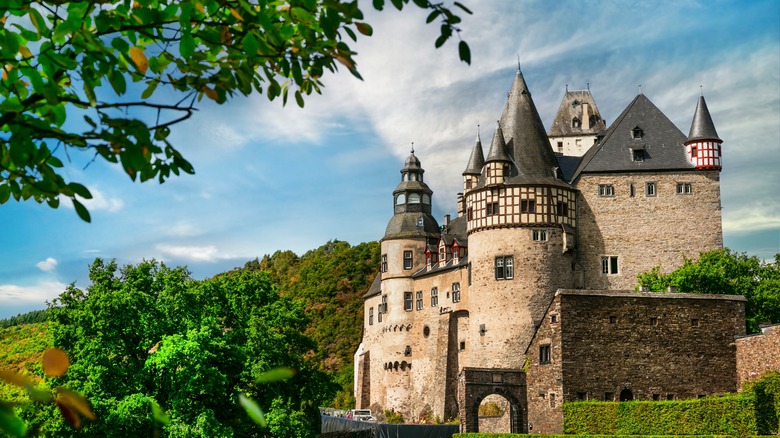 mediaeval castle among greenery