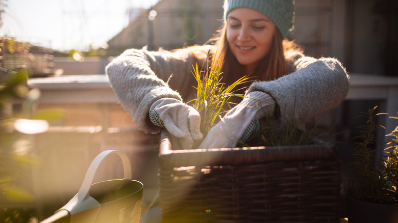 woman gardening in winter