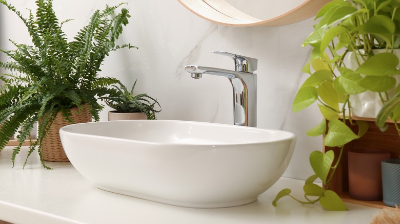 Vessel sink with two plants