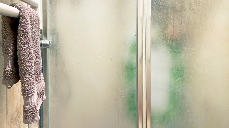 Wet glass shower doors