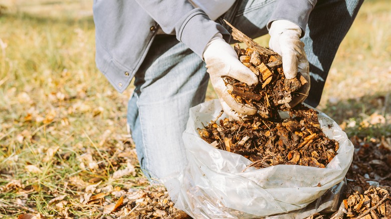 Person scooping mulch form bag