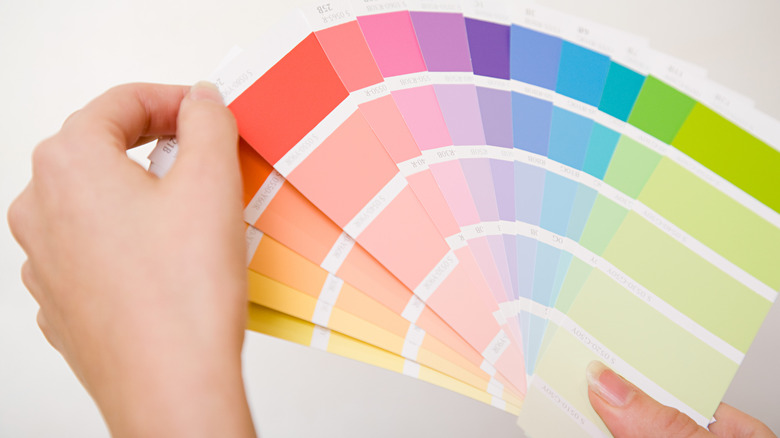person viewing paint swatches