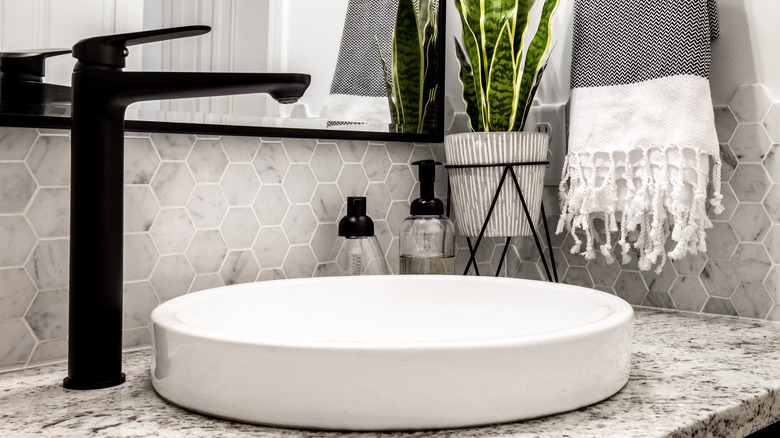 Sink and houseplant