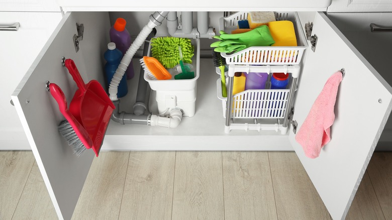 Kitchen sink storing cleaning supplies